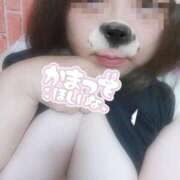 ヒメ日記 2026/02/10 16:41 投稿 らら 石川金沢ちゃんこ