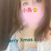 ヒメ日記 2025/12/25 11:12 投稿 小鳥遊　真緒 川崎南町人妻高級ソープ エル・カーヒル(ELCURHIL)秘密の刻