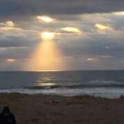 ヒメ日記 2026/01/04 08:30 投稿 さら ゴールドフィンガー