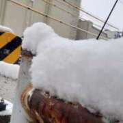 ヒメ日記 2026/02/08 13:32 投稿 さら ゴールドフィンガー