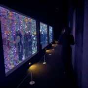 ヒメ日記 2025/12/05 10:46 投稿 桃園ちえ 華椿