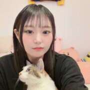 ヒメ日記 2025/12/07 06:31 投稿 桃園ちえ 華椿