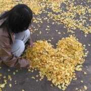 ヒメ日記 2025/11/20 22:59 投稿 まきま スピードエコ日本橋店