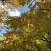 ヒメ日記 2025/11/21 13:49 投稿 まきま スピードエコ日本橋店