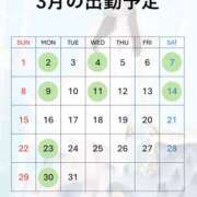 ゆきの 3月の予定🍡🌸 EXE（エグゼ）