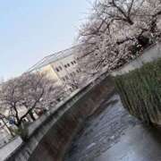 ヒメ日記 2026/04/06 08:12 投稿 天海すみれ ワイフコレクション