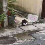 ヒメ日記 2025/11/22 19:03 投稿 りりむ 沖縄素人図鑑