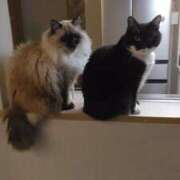 ヒメ日記 2026/04/03 14:46 投稿 REIKO Salvador (サルバドール)