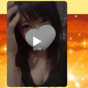 ヒメ日記 2026/04/16 13:26 投稿 REIKO Salvador (サルバドール)