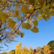 ヒメ日記 2025/12/02 19:48 投稿 なぎさ マリン池袋北口駅前店