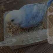 ちずる たいへんだぁ 熟女デリヘル倶楽部