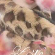 ヒメ日記 2025/11/23 13:30 投稿 碓氷 みゆき Club 麗花