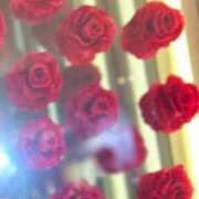 田崎 えりか えり日記☺︎ Men's relaxation VEGA