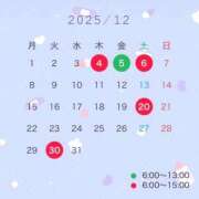 ヒメ日記 2025/11/23 20:17 投稿 ねる リッチドールフェミニン