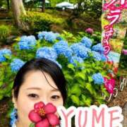ヒメ日記 2026/07/19 09:21 投稿 ユメ【STANDARD】 ROMANCE and GIRLS 盛岡