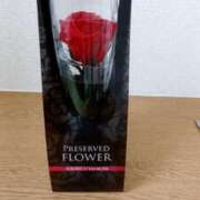 ヒメ日記 2026/04/27 14:08 投稿 かおる 小岩人妻花壇