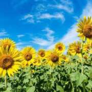 花音 お盆休みに🌻 東京人妻フォーシーズンズ