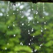 花音 雨も好き 東京人妻フォーシーズンズ