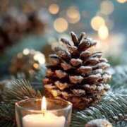 ヒメ日記 2025/12/08 12:03 投稿 有村真理愛 プレジデントクラブ