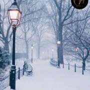 ヒメ日記 2026/02/07 12:39 投稿 有村真理愛 プレジデントクラブ