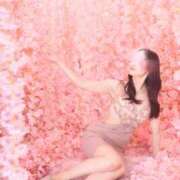 ヒメ日記 2026/04/02 15:01 投稿 有村真理愛 プレジデントクラブ