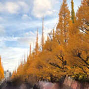 ひなの 出勤日🍀✨ プールサイド新橋店