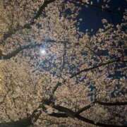 ヒメ日記 2026/03/26 00:17 投稿 玲良/れいら ANEJE～アネージュ池袋～(ユメオト)