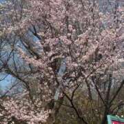 玲良/れいら 解けない結び方 ANEJE～アネージュ池袋～(ユメオト)