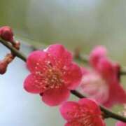 ヒメ日記 2026/02/22 17:36 投稿 湊 エマ(みなとえま) 五十路マダムエクスプレス厚木店(カサブランカグループ)