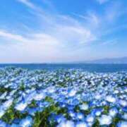 ヒメ日記 2026/05/08 20:20 投稿 湊 エマ(みなとえま) 五十路マダムエクスプレス厚木店(カサブランカグループ)