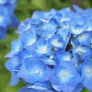 ヒメ日記 2026/05/21 22:16 投稿 湊 エマ(みなとえま) 五十路マダムエクスプレス厚木店(カサブランカグループ)