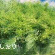 ヒメ日記 2025/11/19 14:45 投稿 しおり 完熟ばなな新宿