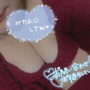 ヒメ日記 2025/11/19 18:40 投稿 おかゆ 山梨甲府甲斐ちゃんこ