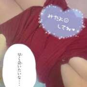 ヒメ日記 2025/11/20 10:55 投稿 おかゆ 山梨甲府甲斐ちゃんこ