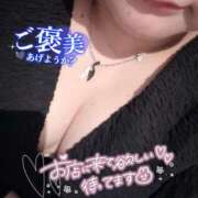 ヒメ日記 2026/01/30 11:59 投稿 おかゆ 山梨甲府甲斐ちゃんこ