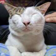 ふらわー 恵比寿顔 日本橋・谷九サンキュー