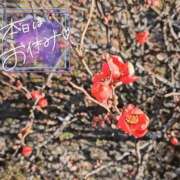 ヒメ日記 2026/01/28 18:27 投稿 ななお 佐賀人妻デリヘル 「デリ夫人」