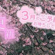 ヒメ日記 2026/02/25 12:38 投稿 ななお 佐賀人妻デリヘル 「デリ夫人」