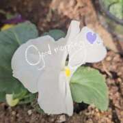 ヒメ日記 2026/03/01 08:28 投稿 ななお 佐賀人妻デリヘル 「デリ夫人」