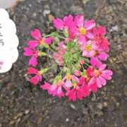 ヒメ日記 2026/03/04 08:40 投稿 ななお 佐賀人妻デリヘル 「デリ夫人」