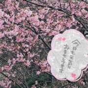 ヒメ日記 2026/03/05 11:58 投稿 ななお 佐賀人妻デリヘル 「デリ夫人」