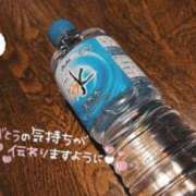 ヒメ日記 2026/03/06 03:04 投稿 ななお 佐賀人妻デリヘル 「デリ夫人」