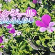 ヒメ日記 2026/03/07 11:49 投稿 ななお 佐賀人妻デリヘル 「デリ夫人」