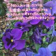 ヒメ日記 2026/03/13 12:44 投稿 ななお 佐賀人妻デリヘル 「デリ夫人」