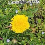 ヒメ日記 2026/03/22 20:29 投稿 ななお 佐賀人妻デリヘル 「デリ夫人」