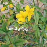 ヒメ日記 2026/03/24 11:17 投稿 ななお 佐賀人妻デリヘル 「デリ夫人」