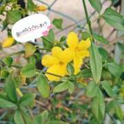 ヒメ日記 2026/04/05 18:35 投稿 ななお 佐賀人妻デリヘル 「デリ夫人」