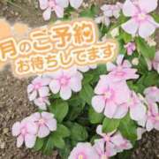 ヒメ日記 2026/07/27 16:13 投稿 ななお 佐賀人妻デリヘル 「デリ夫人」