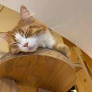 ヒメ日記 2026/02/06 15:00 投稿 あすみ 世界のあんぷり亭 日暮里店