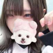 めぐる めぐるの初登校！ チェックイン横浜女学園